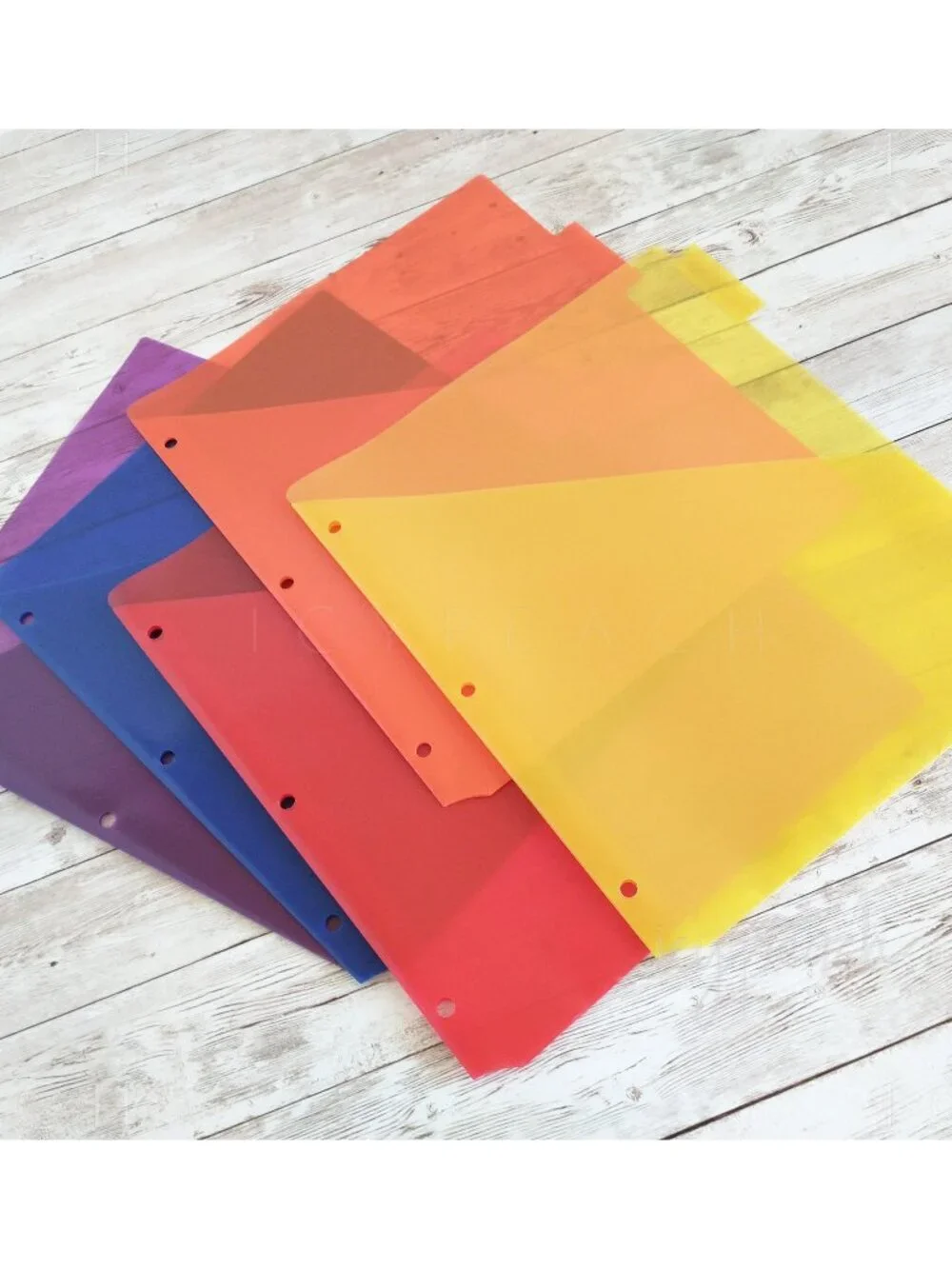 Slash File Jackets Set of 5 Translucent for 3-Ring Binders Letter Hole Punched